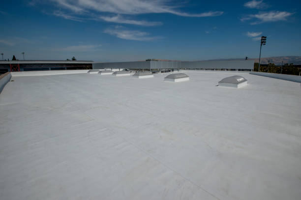 Best Metal Roofing Installation  in Audubon Park, KY