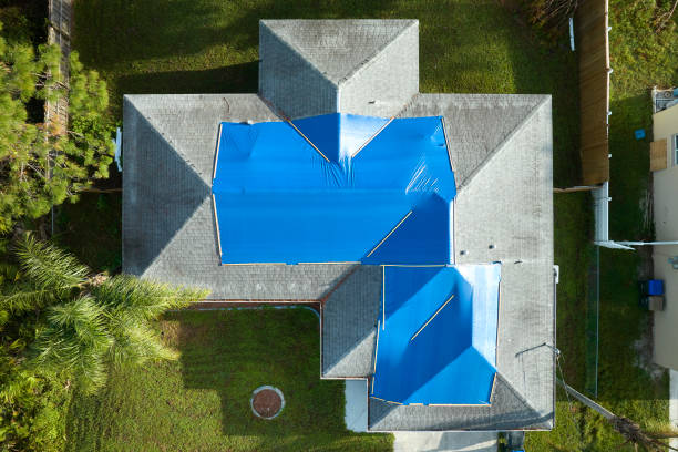 Best Roof Maintenance and Cleaning  in Audubon Park, KY